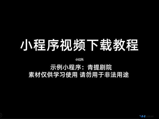 9.1 视频极速版最新下载安装教程：一步到位，轻松拥有精彩视界