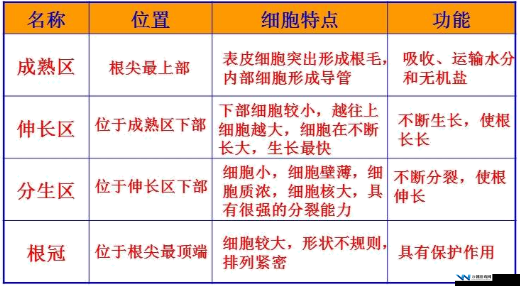 亚 1 州区 2 区 3 区 4 区产品的特点与优势及应用场景分析