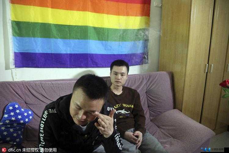 国产胖熊 gaysexchina：探索同志文化的新视角