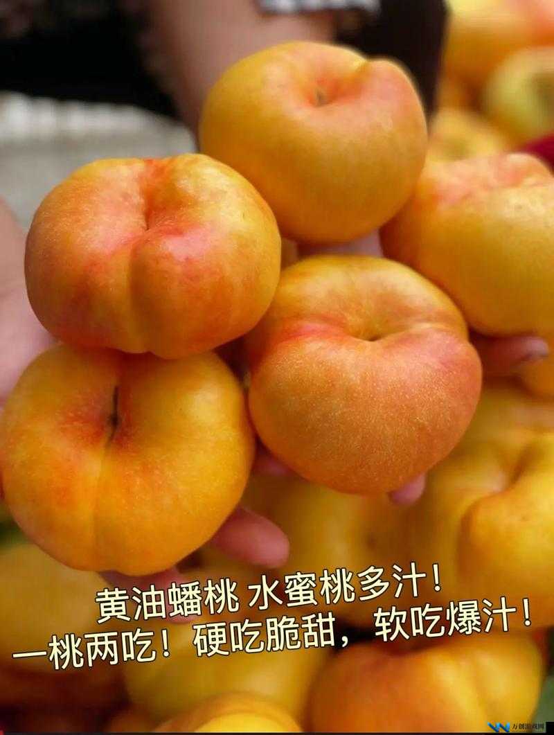 桃子植入的 10000 种黄油：探索美食的无限可能