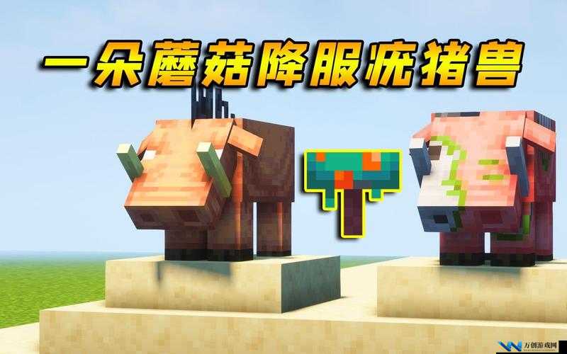 暴躁老外玩Minecraft蘑菇：游戏世界中的独特探险之旅