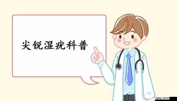 和几个人发生过关系才会得 HPV ：深入探究其关联因素