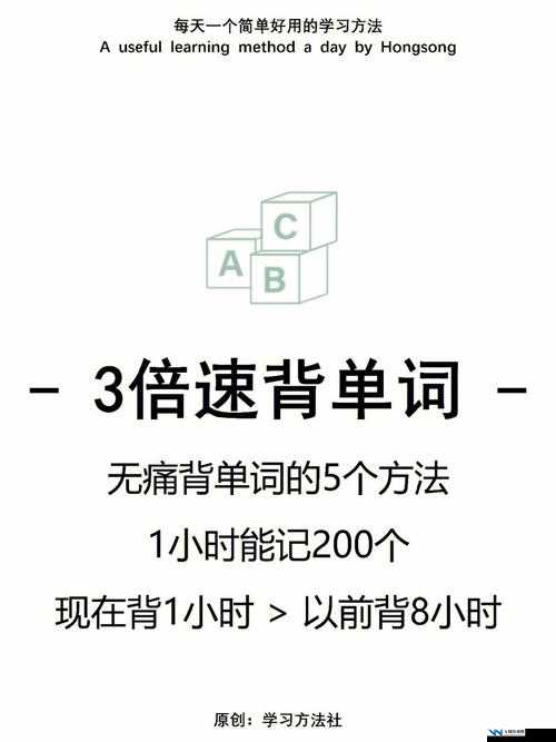 在教授鸡扒上背单词：提升词汇量的别样体验