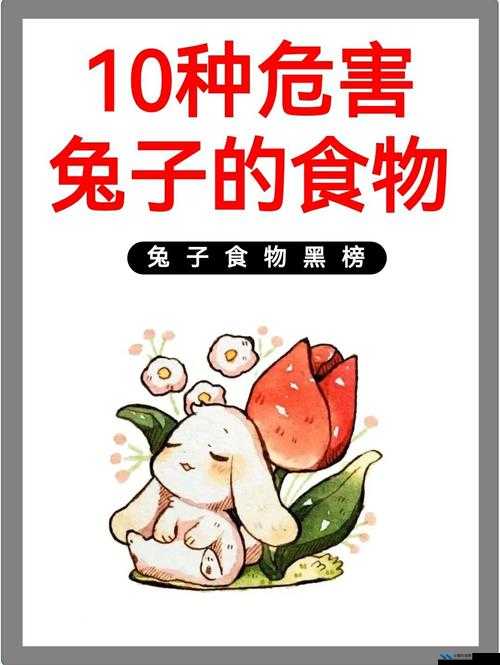 男朋友吃我的小兔子：甜蜜的喂食时间